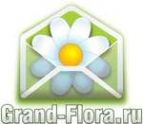 Логотип компании Доставка цветов Гранд Флора (ф-л г.Бирск)